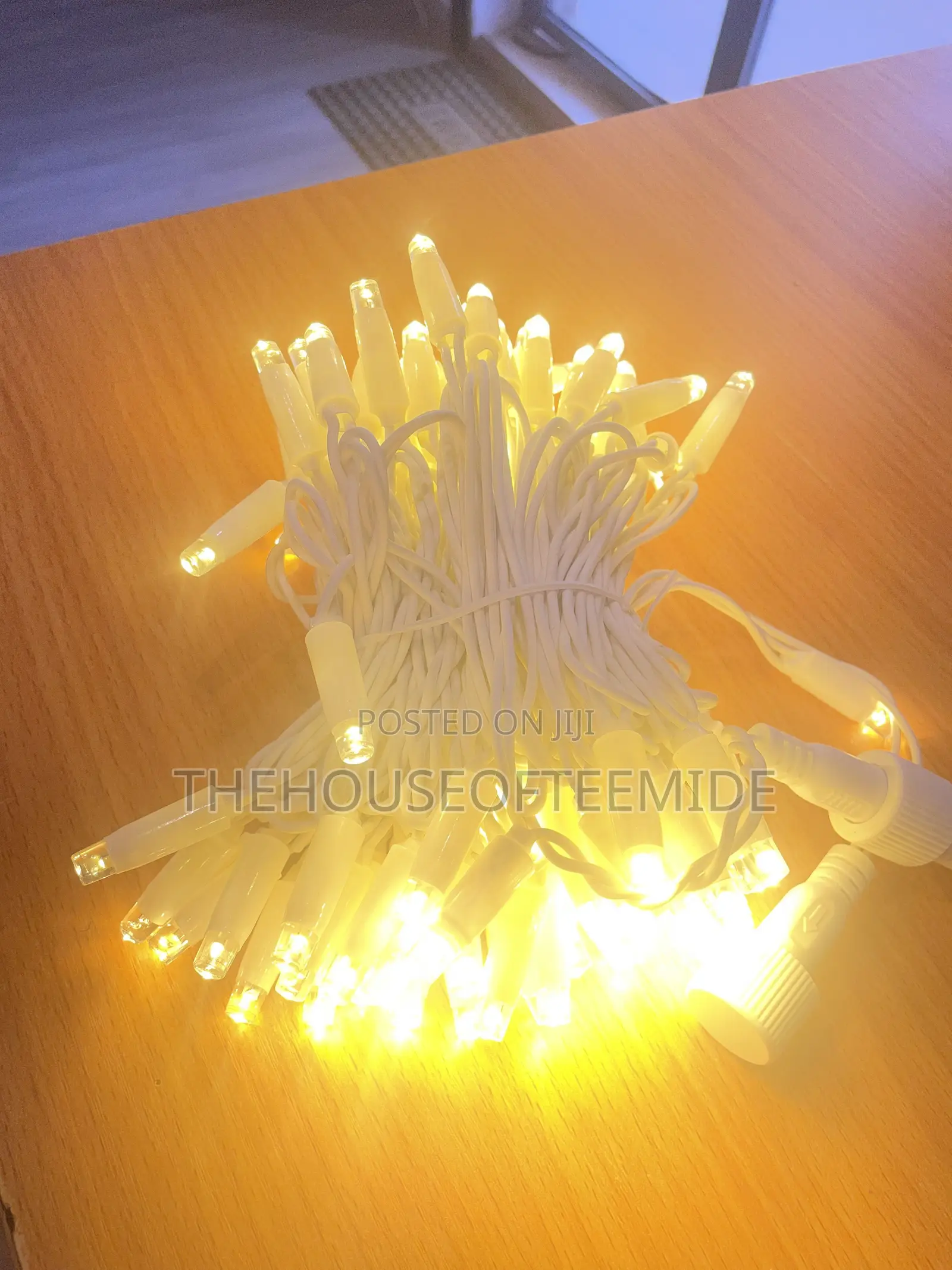 100 Rope Led Light