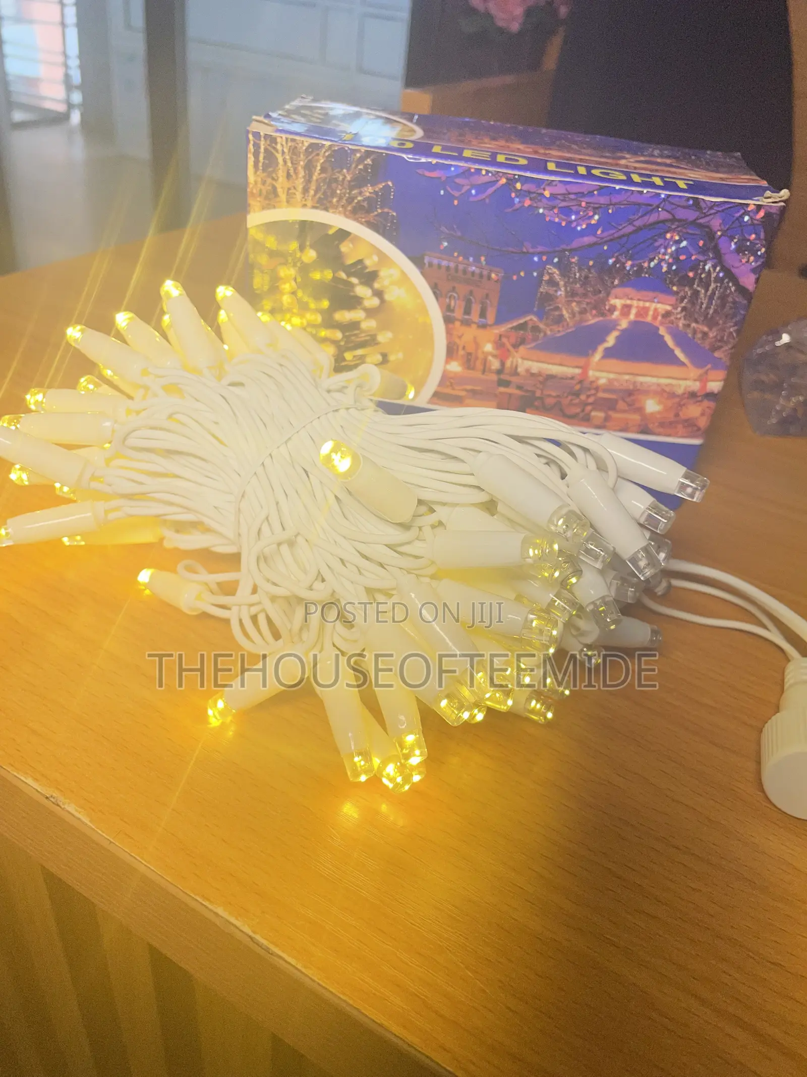 100 Rope Led Light