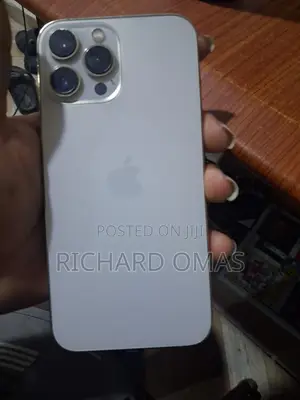 Apple iPhone 13 Pro Max 128 GB Silver
