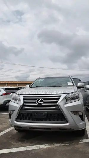 Lexus GX 2013 Silver