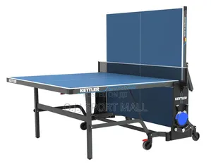 Standard Table Tennis Board With Double Accessories