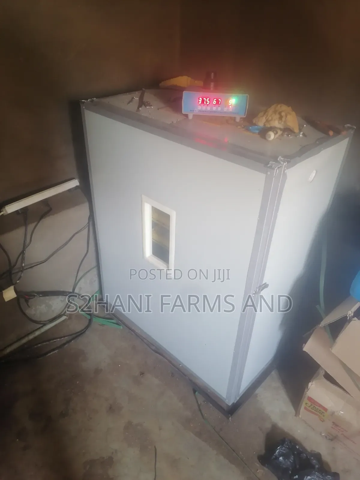 Commercial Eggs Hatching Services