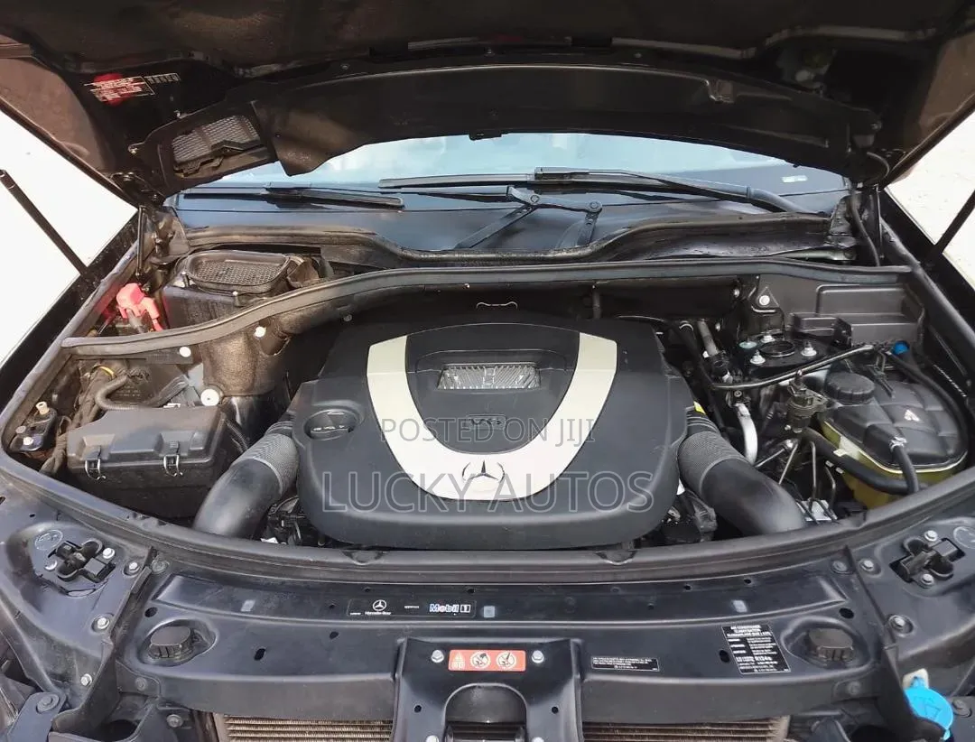 Mercedes-Benz M Class 2010 Black