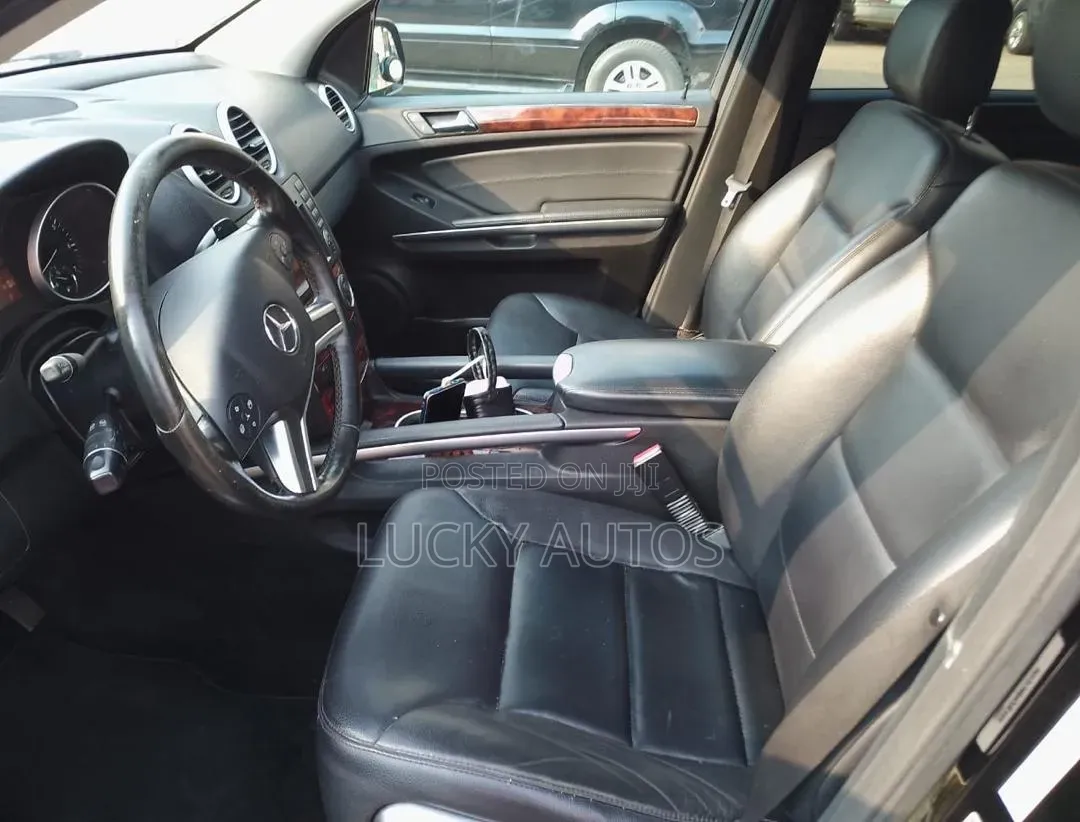 Mercedes-Benz M Class 2010 Black