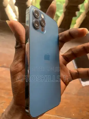 Apple iPhone 12 Pro 256 GB Gray