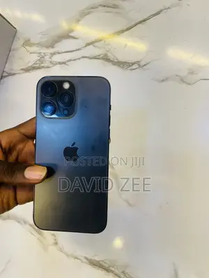 Apple iPhone 14 Pro Max 256 GB Gray