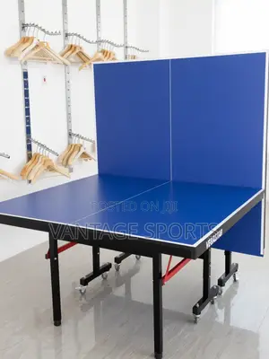 Outdoor Table Tennis Table + Net Extra Accessories