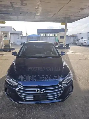 Hyundai Elantra 2017 Blue
