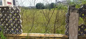 2819sqm Bareland for Jv