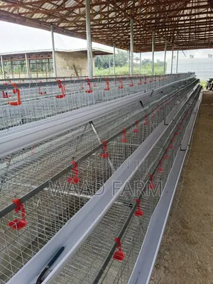 Battery Cages
