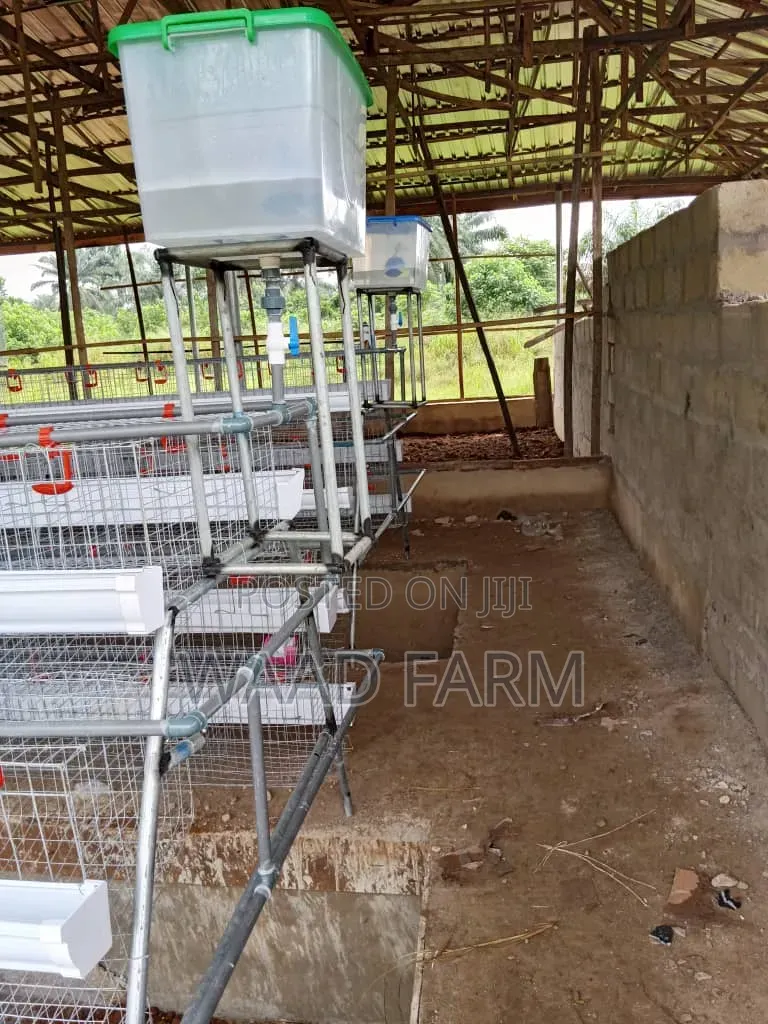 Battery Cages