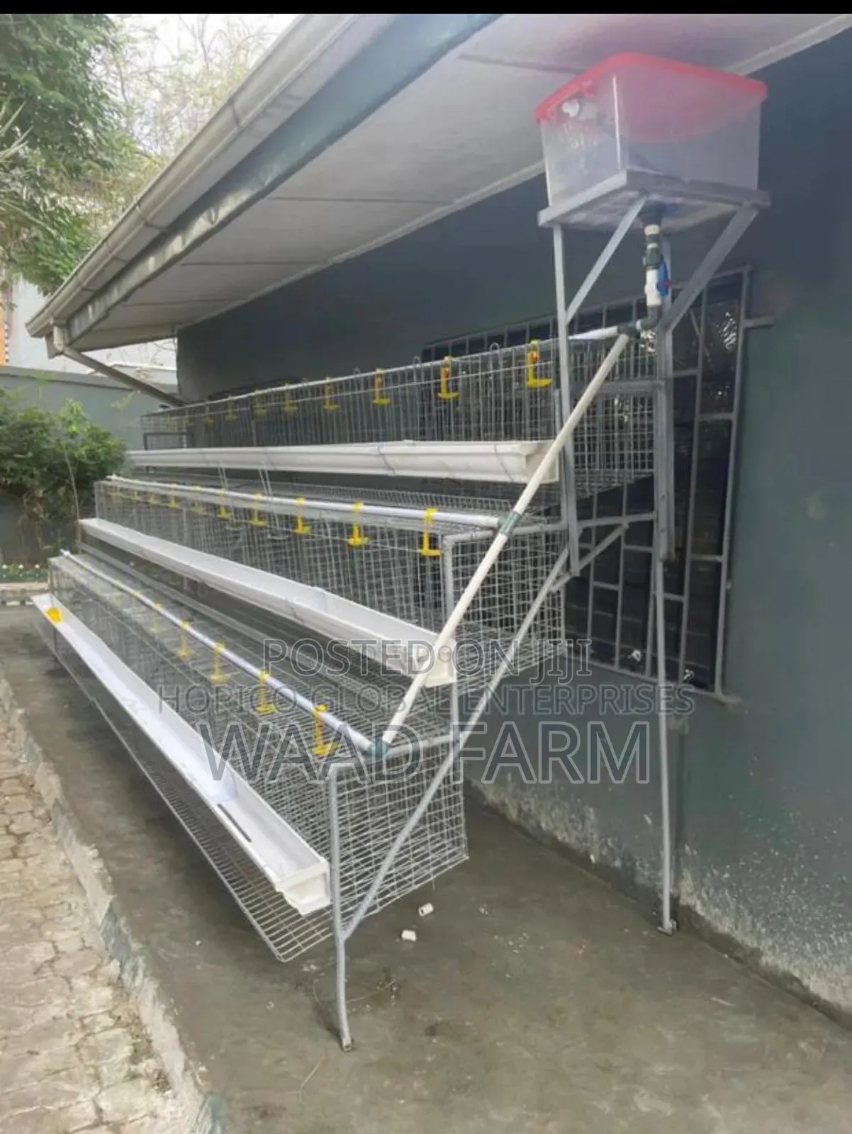 Battery Cages