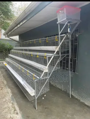 Battery Cages