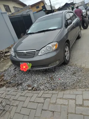 Toyota Corolla 2004 Gray