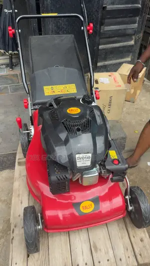 Rally Lawn Mower Best Importer and Distributor of Rally Lawn Mower