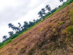11 Acres Commercial Land for Business Use