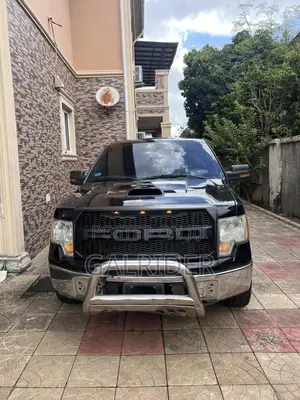 Ford F-150 2009