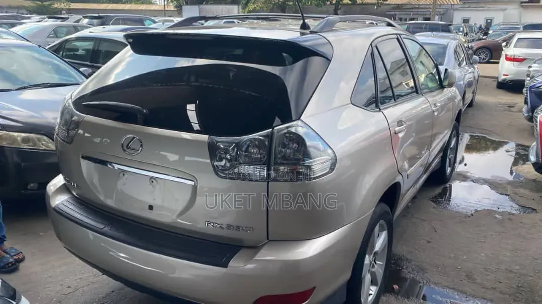 Lexus RX 2004 Brown