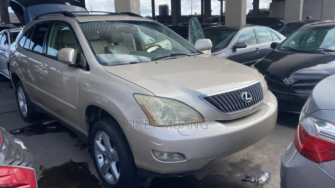 Lexus RX 2004 Brown