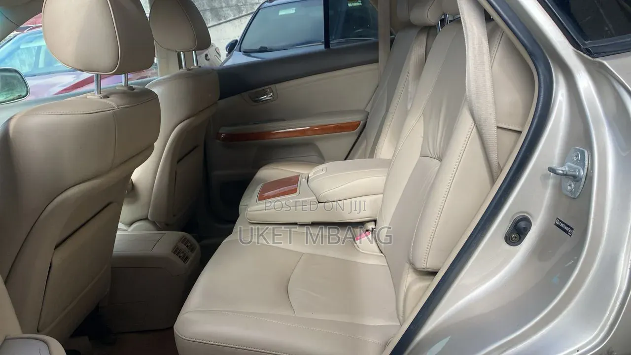 Lexus RX 2004 Brown
