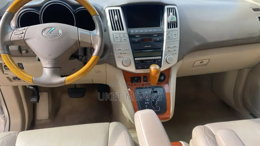 Lexus RX 2004 Brown