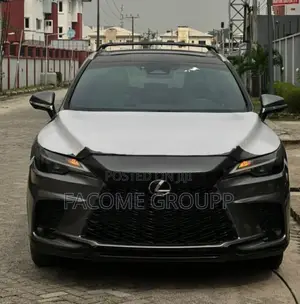 Lexus RX 2023 Gray
