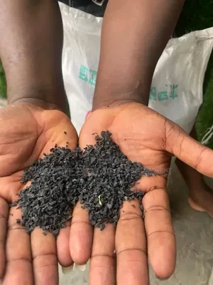 Premium Granules