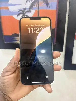 Apple iPhone 13 Pro Max 256 GB Graphite