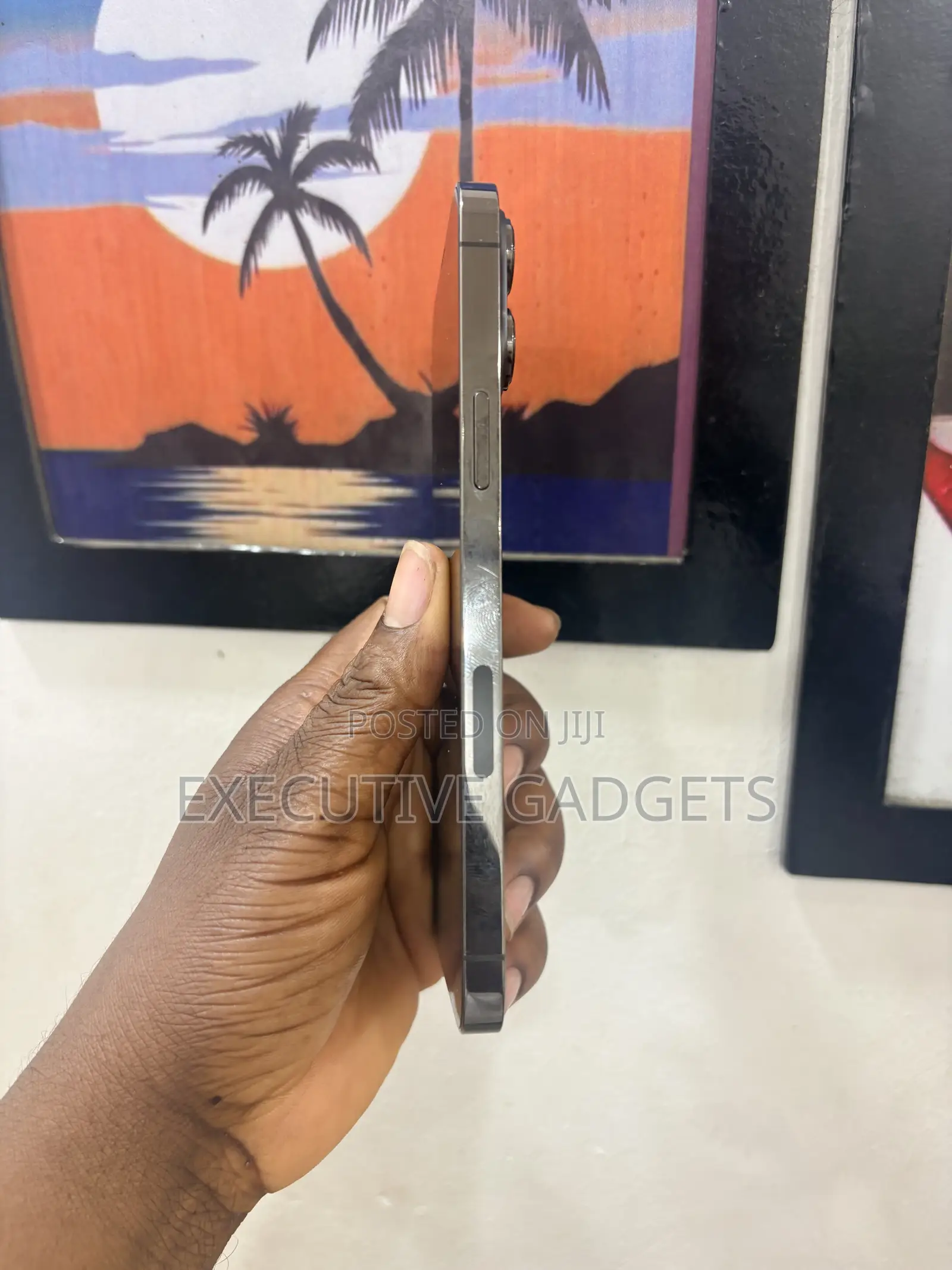 Apple iPhone 13 Pro Max 256 GB Graphite