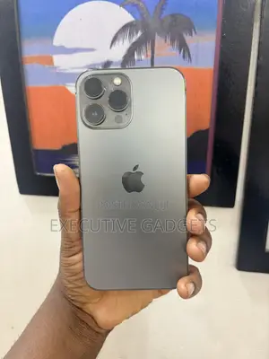 Apple iPhone 13 Pro Max 256 GB Graphite