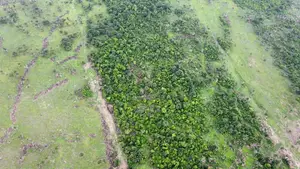 Acres of Land for Sale