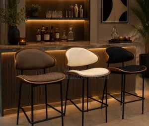 Modern Bar Stool / High Chair