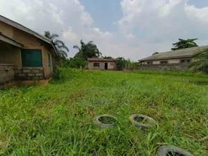 Full Plot or Half