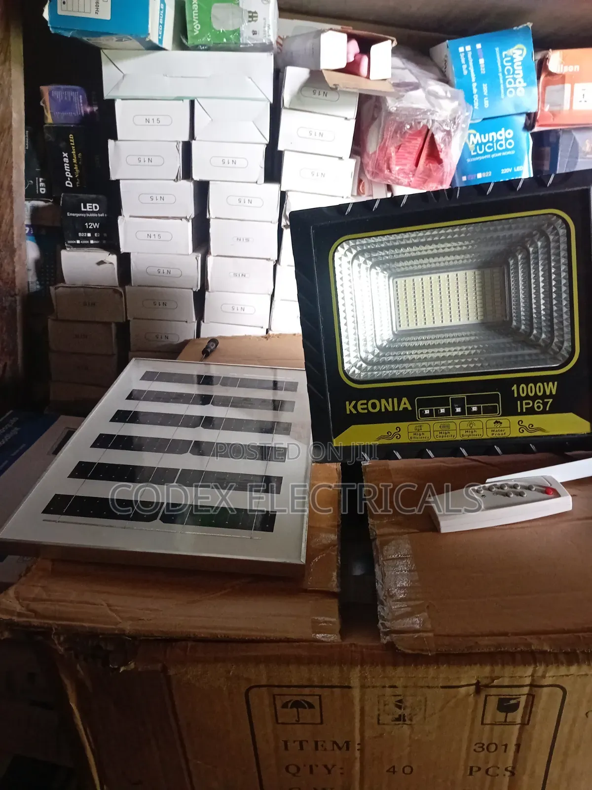 1000 Solar Flood Light