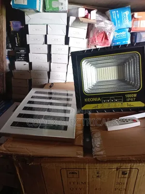 1000 Solar Flood Light