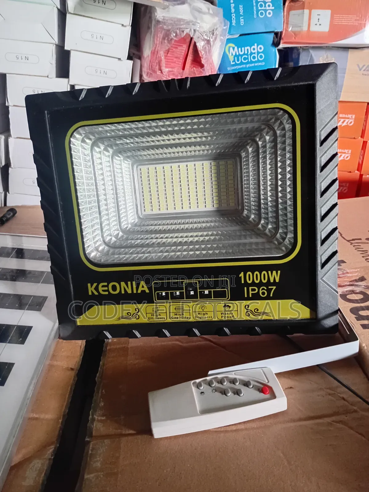 1000 Solar Flood Light