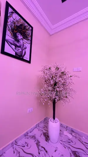 Interior Painting 