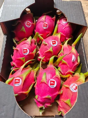 Dragon Fruit