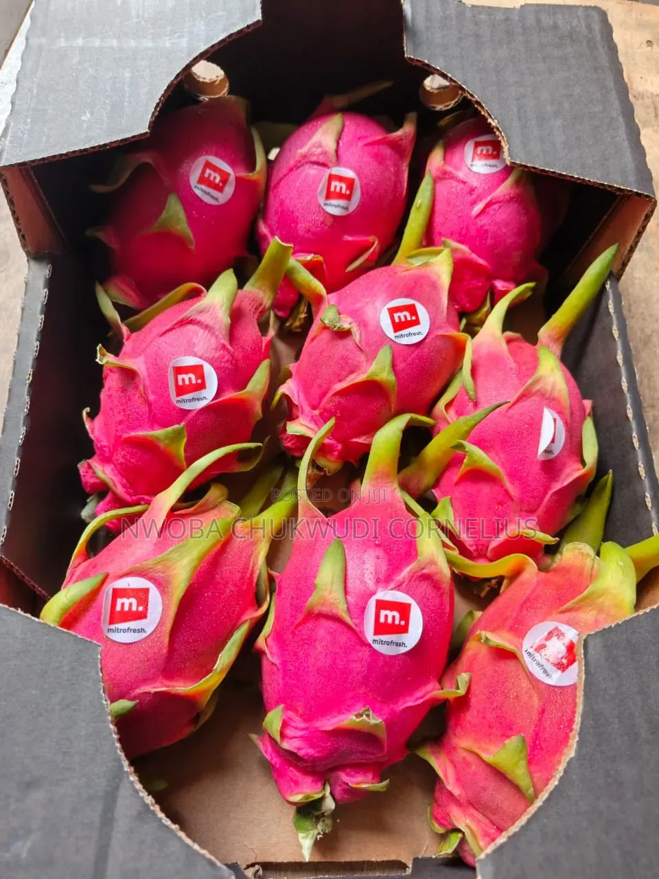 Dragon Fruit