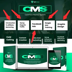 Cashflow Mastery System (CMS)