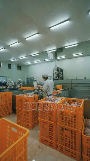 Refrigeration Equipment Cold Room Equipment | Nigeria