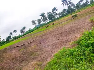 Commercial Land for Warehouse, Logistics Industrial Use