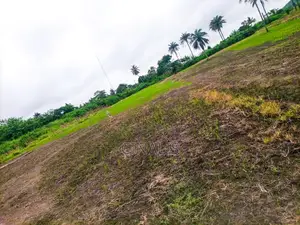 Affordable Commercial Land for Business Operations