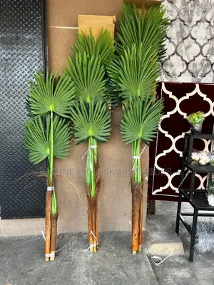 Artificial Plants
