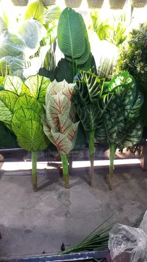Artificial Plants