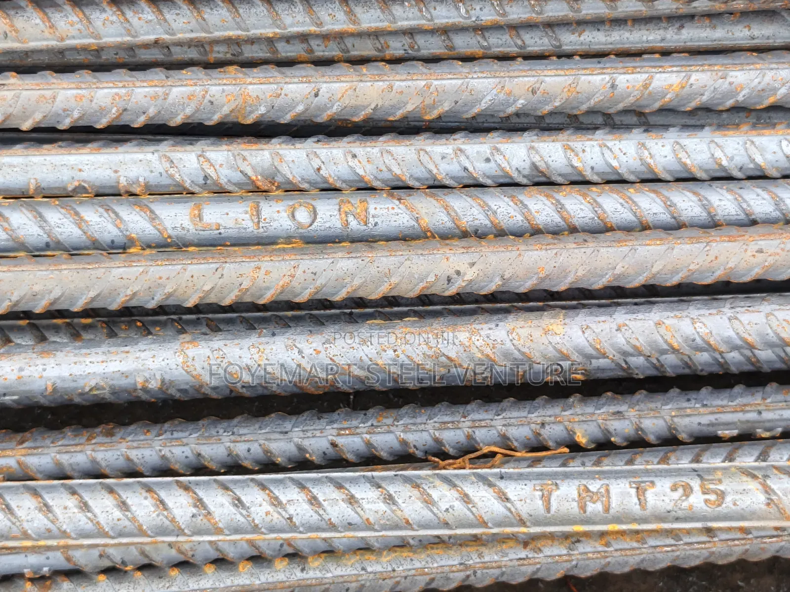 Tiger Standard TMT Steel