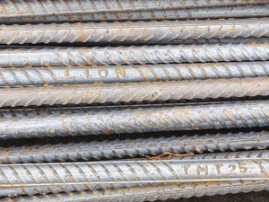 Tiger Standard TMT Steel