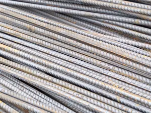 Tiger Standard TMT Steel