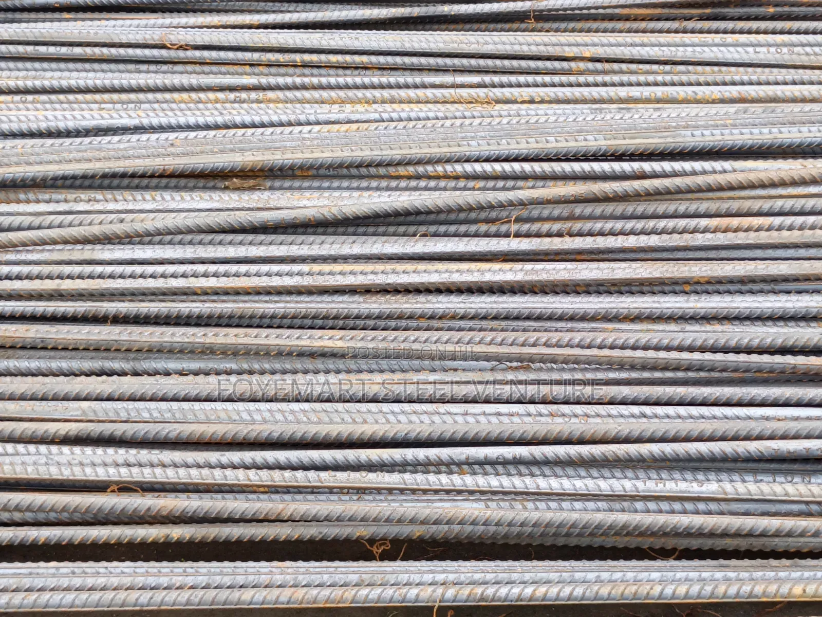 Tiger Standard TMT Steel