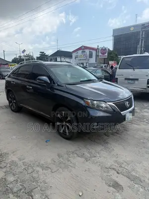 Lexus RX 2010 Blue